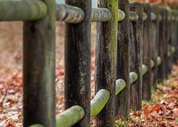 Et laudantium et rerum dolorum.