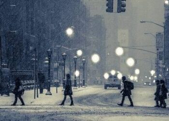 Assumenda et fuga harum occaecati.